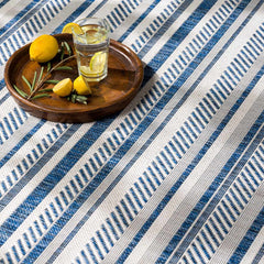 Olin White&Blue Striped Nordic Outdoor Rug - Ornate Home