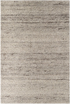 Olisa Beige Wool Area Rug - Ornate Home