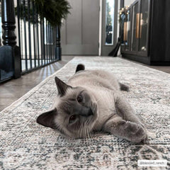 Olive Holi-2304 Washable Area Rug - Ornate Home