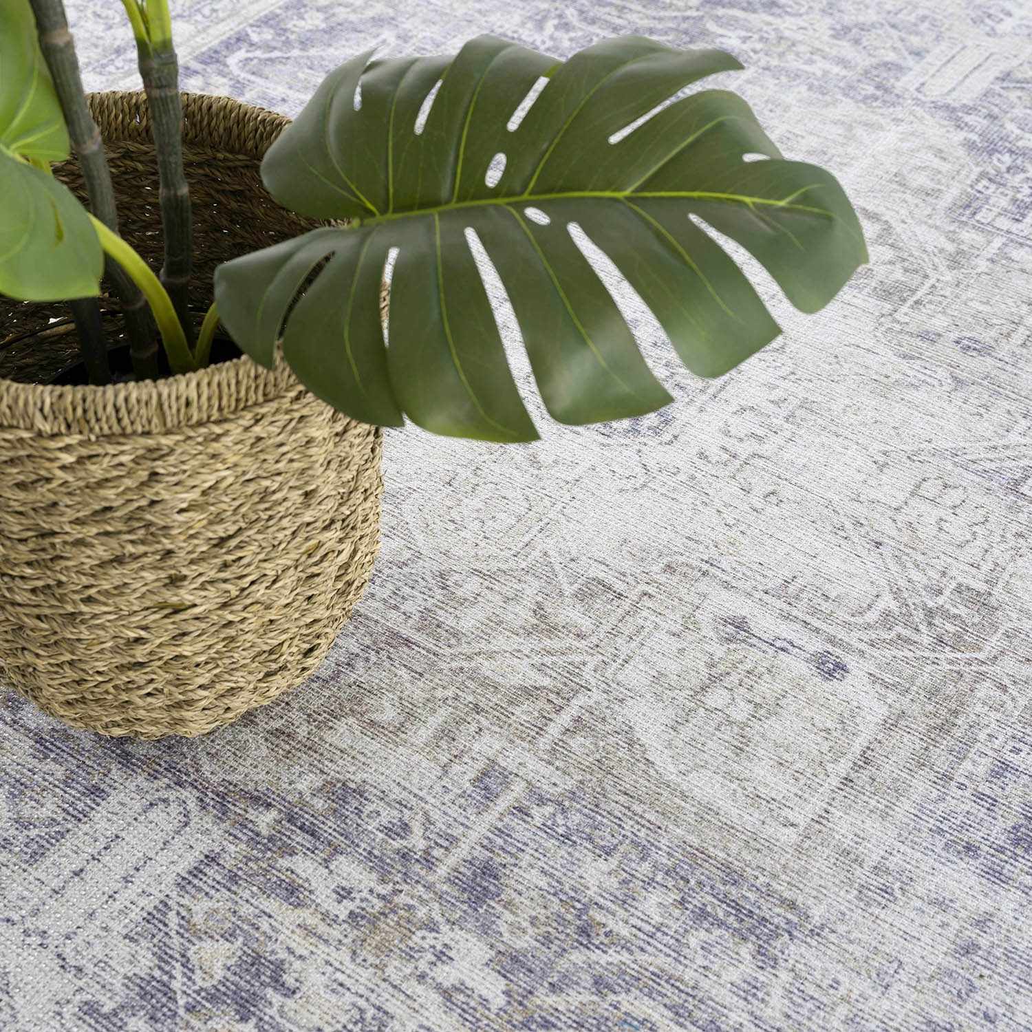 Olive Rosman Area Rug - Clearance - Ornate Home