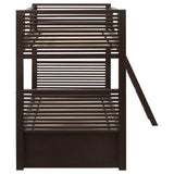 Oliver Java Twin/Twin Bunk Bed - Ornate Home