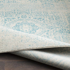 Omega Area Rug - Clearance - Ornate Home