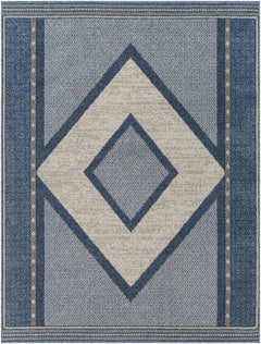 Onan Area Rug - Clearance - Ornate Home