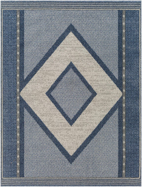 Onan Area Rug - Clearance - Ornate Home