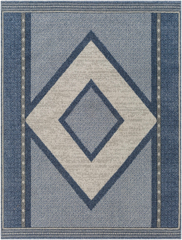 Onan Area Rug - Clearance - Ornate Home