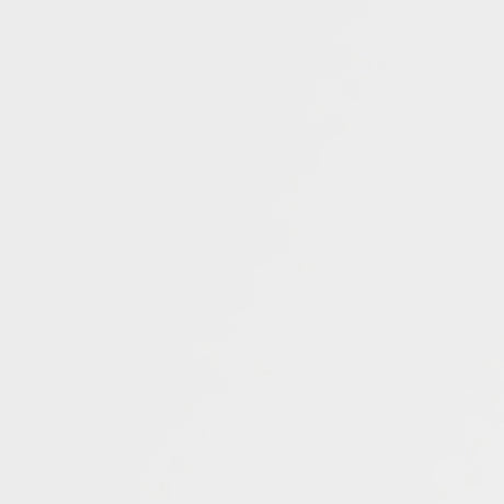 Onita White King Platform Bed with 2 Side Storage - Ornate Home