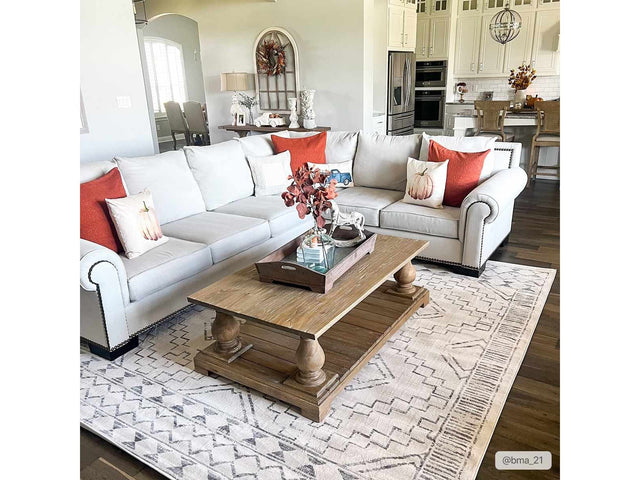 Orana Area Rug - Clearance - Ornate Home