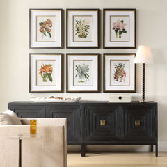 Orchid Multicolor Botanical Framed Prints (Set of 6) - Ornate Home