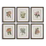 Orchid Multicolor Botanical Framed Prints (Set of 6) - Ornate Home