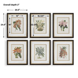 Orchid Multicolor Botanical Framed Prints (Set of 6) - Ornate Home