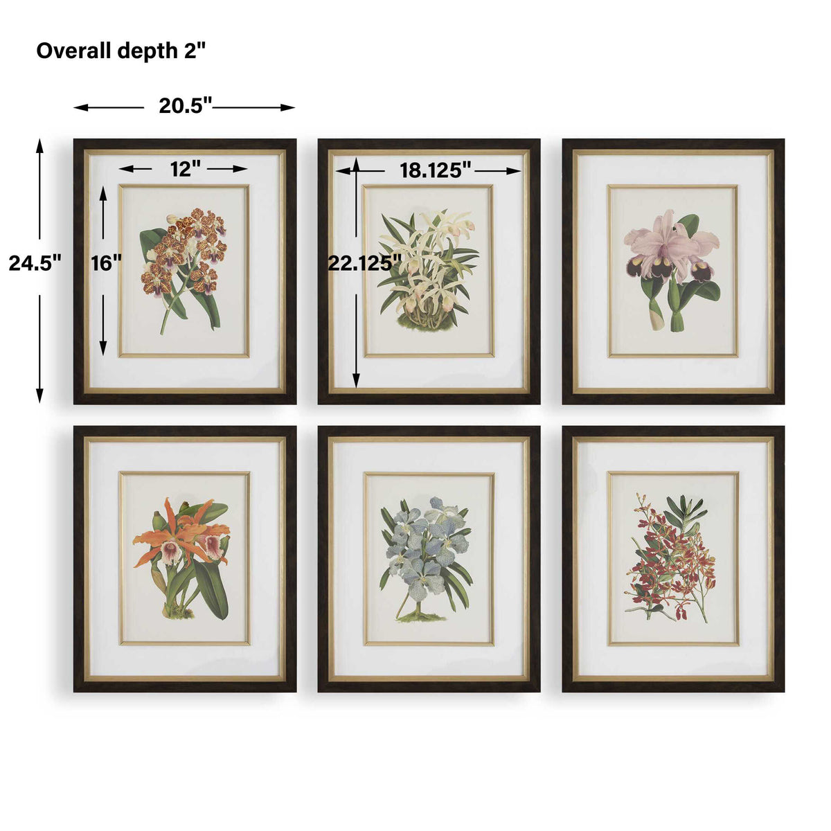 Orchid Multicolor Botanical Framed Prints (Set of 6) - Ornate Home
