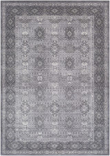 Ordway Area Rug - Clearance - Ornate Home