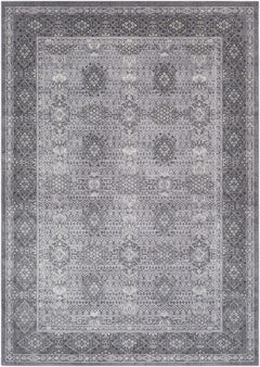 Ordway Area Rug - Clearance - Ornate Home