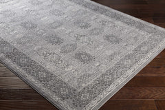 Ordway Area Rug - Clearance - Ornate Home
