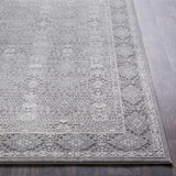 Ordway Area Rug - Clearance - Ornate Home