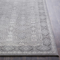 Ordway Area Rug - Clearance - Ornate Home