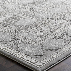 Ordway Area Rug - Clearance - Ornate Home