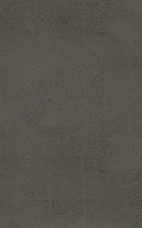 Ordway Gray/Brown Dining Stool - Ornate Home