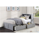 Orion Gray Twin Bookcase Bed - Ornate Home