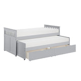 Orion Gray Twin/Twin Bed - Ornate Home