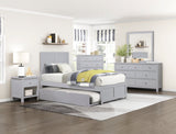 Orion Gray Wide Mirror - Ornate Home