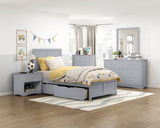 Orion Gray Wide Mirror - Ornate Home
