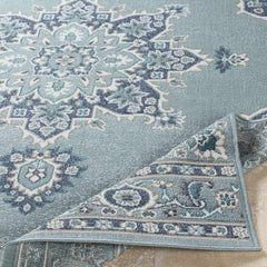Orla Pale Blue Medallion Outdoor Area Rug - Clearance - Ornate Home