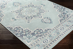 Orla Pale Blue Medallion Outdoor Area Rug - Clearance - Ornate Home