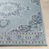 Orla Pale Blue Medallion Outdoor Area Rug - Clearance - Ornate Home