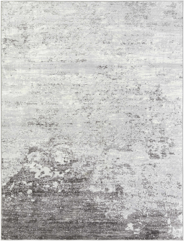 Ortonville Abstract Gray Rug - Ornate Home