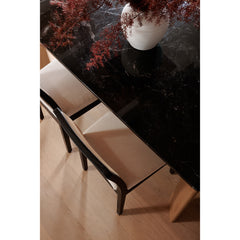 Orville Black Dining Chair (Set of 2) - Ornate Home
