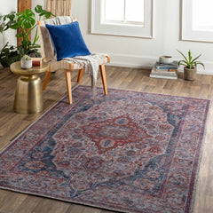 Osmaneli Washable Area Rug - Clearance - Ornate Home
