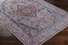 Osmaneli Washable Area Rug - Clearance - Ornate Home