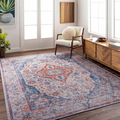 Osmaneli Washable Area Rug - Clearance - Ornate Home