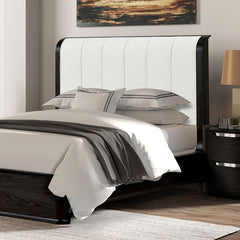 Osterley Black Queen 5 Piece Bedroom Set w/2 Nightstands - Ornate Home