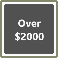 Over 2000$