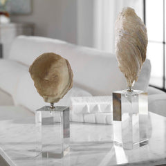 Oyster Silver/White Shell Sculptures (Set of 2) - Ornate Home