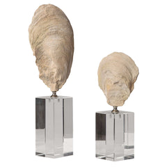 Oyster Silver/White Shell Sculptures (Set of 2) - Ornate Home