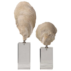 Oyster Silver/White Shell Sculptures (Set of 2) - Ornate Home