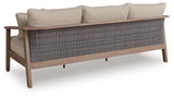 Francis Beach Natural/Gray Outdoor Sofa with Cushion