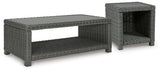 Elite Park Gray Outdoor Coffee Table and End Table