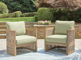 Vision Lane Beige/Green Outdoor Lounge Chair (Set of 2)
