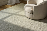 Priya Area Rug - Clearance