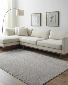 Pabla Light Gray Area Rug - Ornate Home