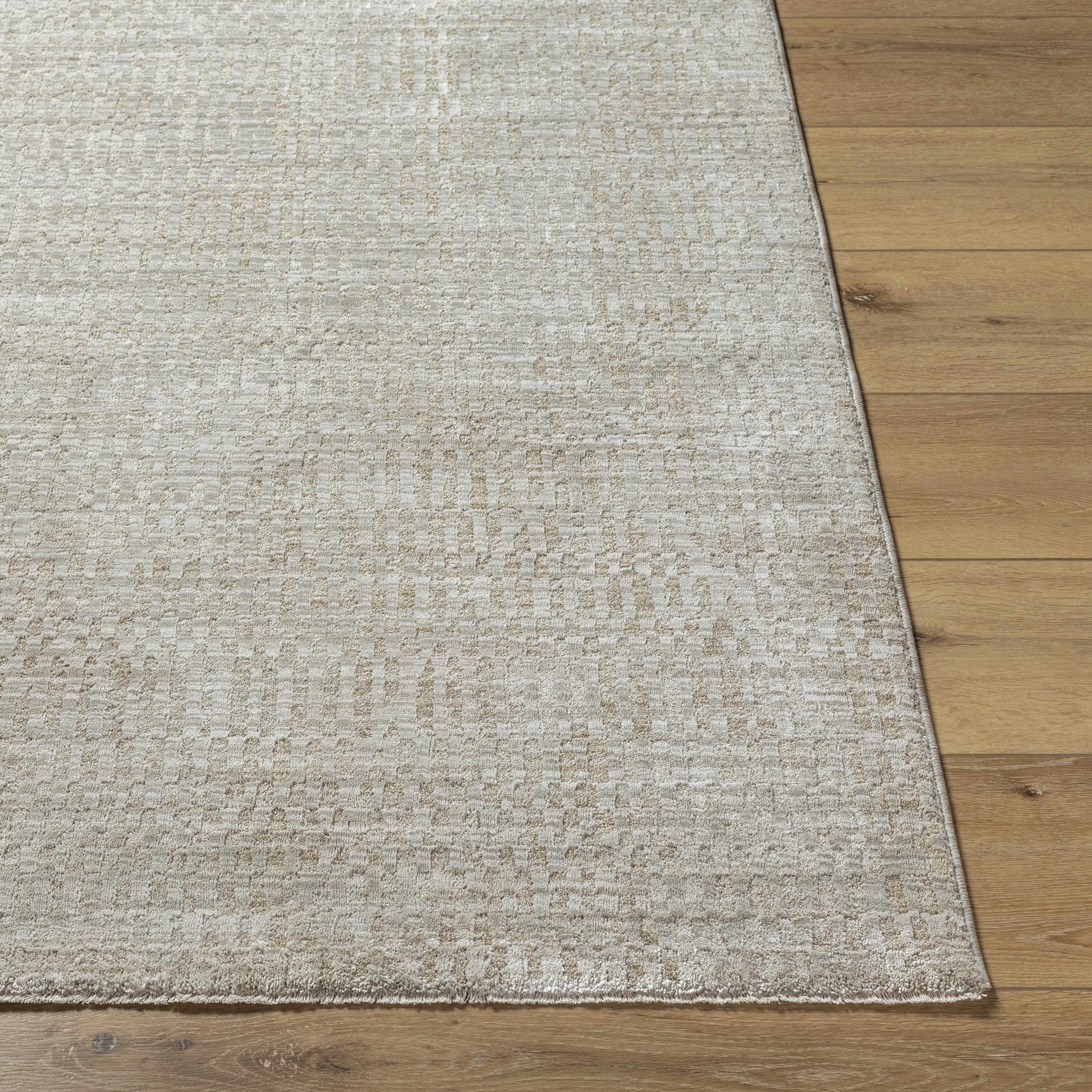 Pabla Light Gray Area Rug - Ornate Home