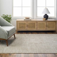 Pabla Light Gray Area Rug - Ornate Home