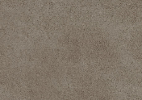 Pagosa Brown Double Reclining Loveseat - Ornate Home