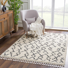 Pahala Moroccan Shag Area Rug - Clearance - Ornate Home