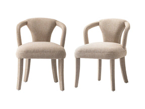 Palmer Dining Armchair in Gold Dust (set of 2) - Ornate Home