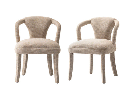 Palmer Dining Armchair in Gold Dust (set of 2) - Ornate Home